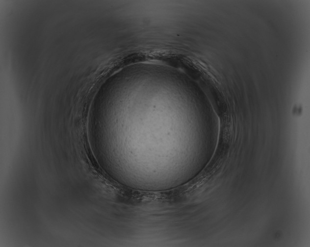 X0000091651345200708301411