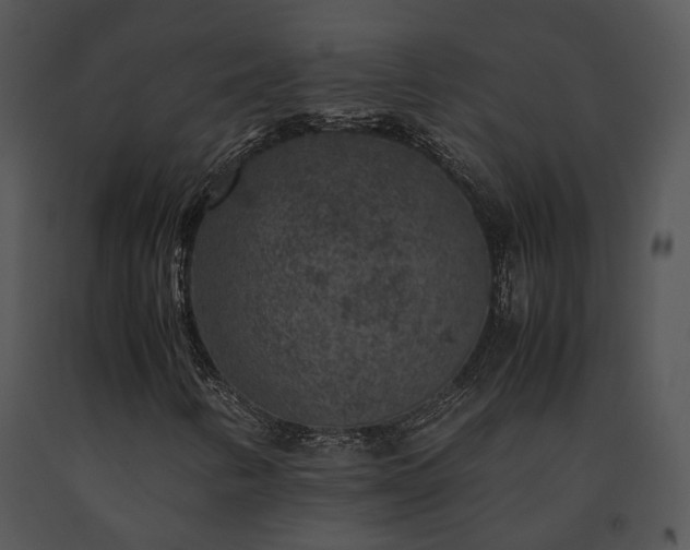 X0000091651346200708301411