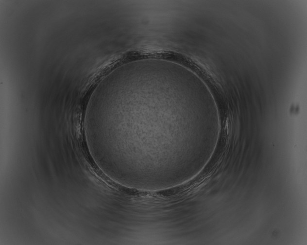 X0000091651348200708301411