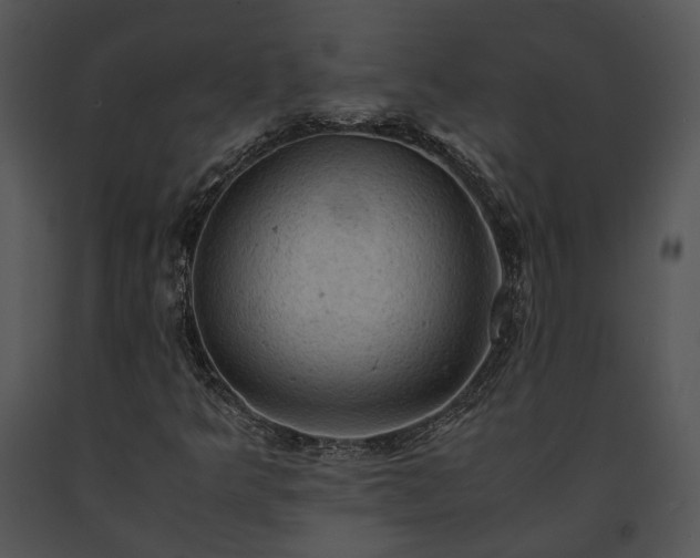 X0000091651349200708301411