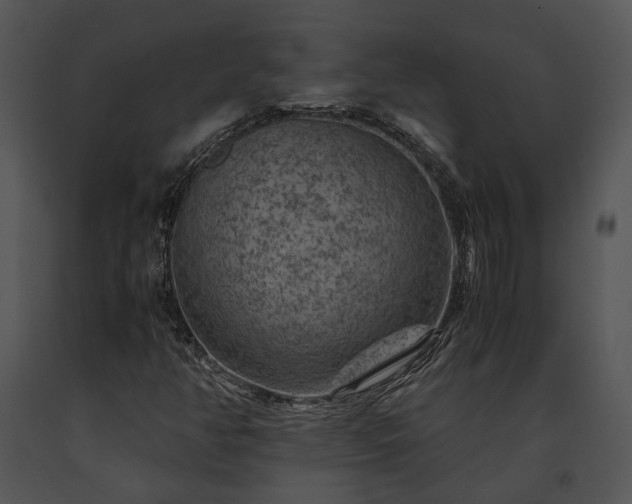 X0000091651350200708301411