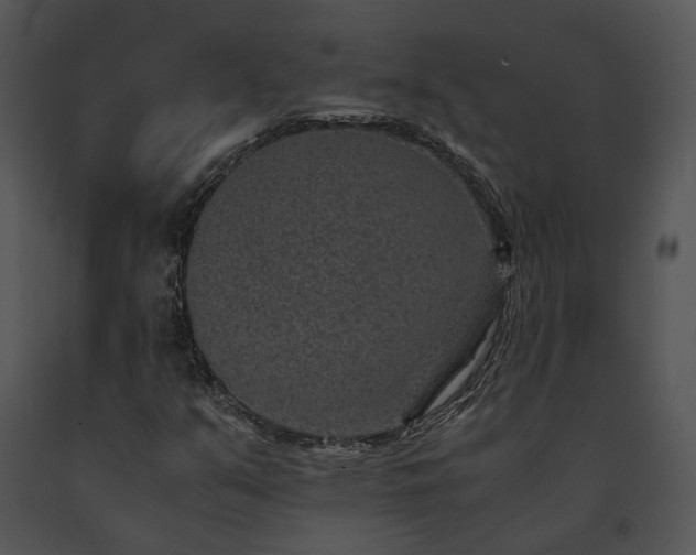 X0000091651351200708301411