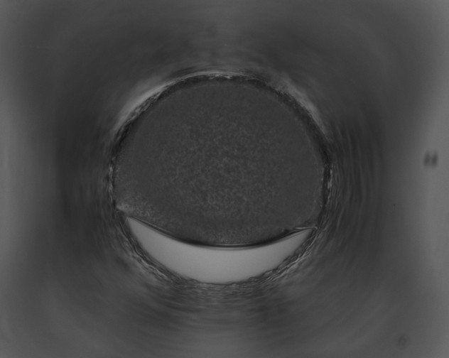 X0000091651352200708301411