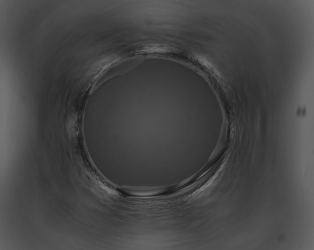 X0000091651353200708301411