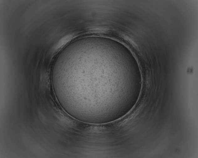 X0000091651354200708301411