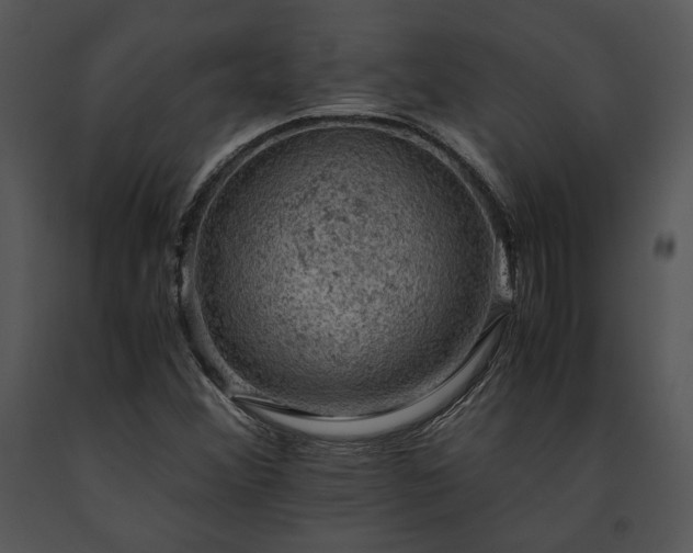 X0000091651356200708301410