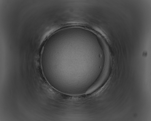 X0000091651357200708301410
