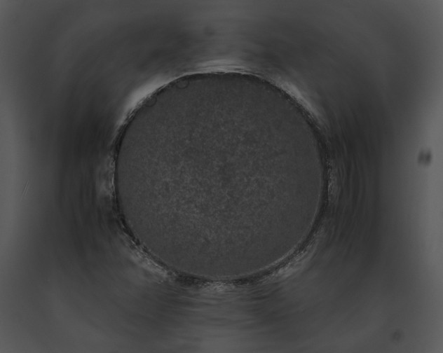X0000091651358200708301410