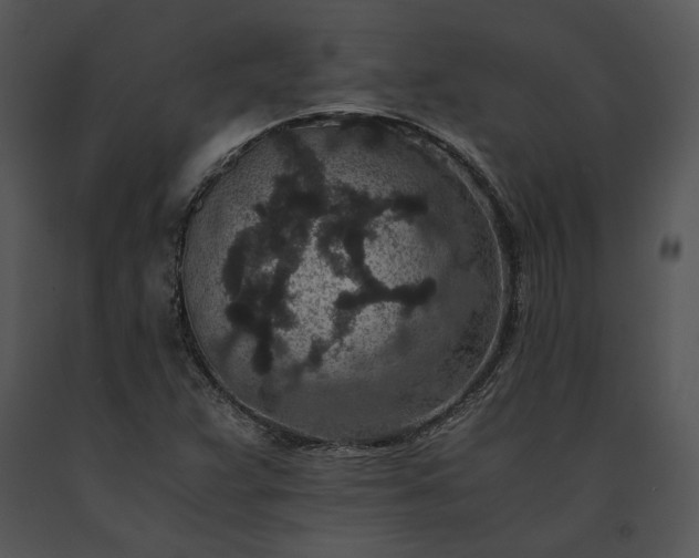 X0000091651359200708301410