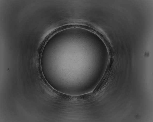 X0000091651360200708301410