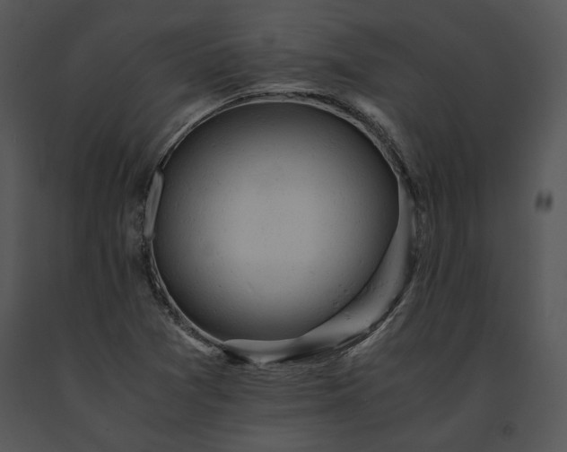 X0000091651361200708301410