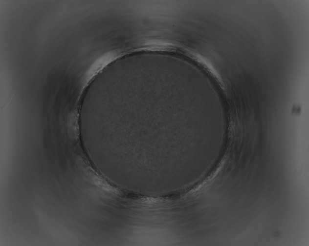X0000091651362200708301410