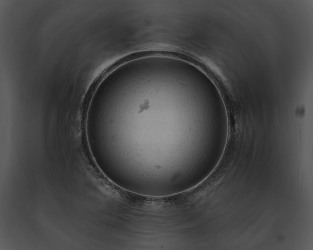 X0000091651364200708301410