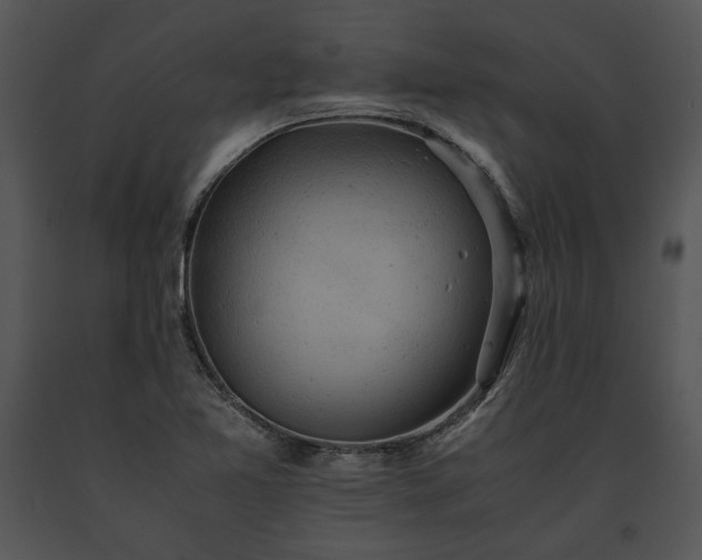 X0000091651365200708301410