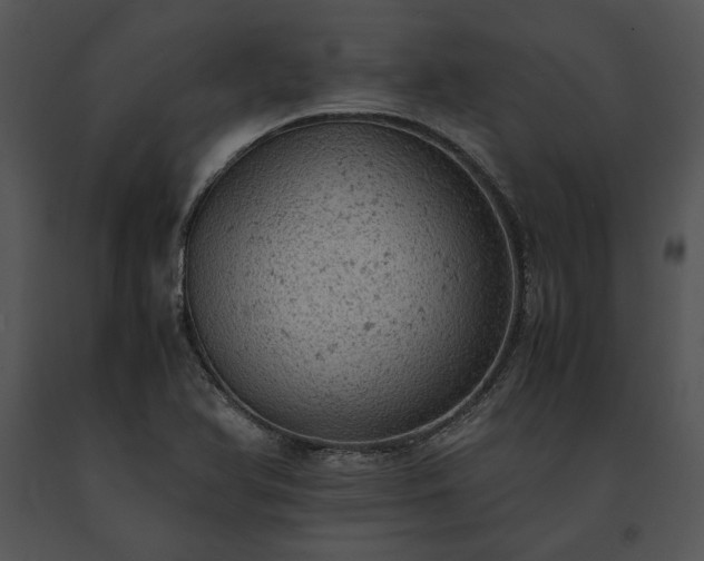 X0000091651366200708301410