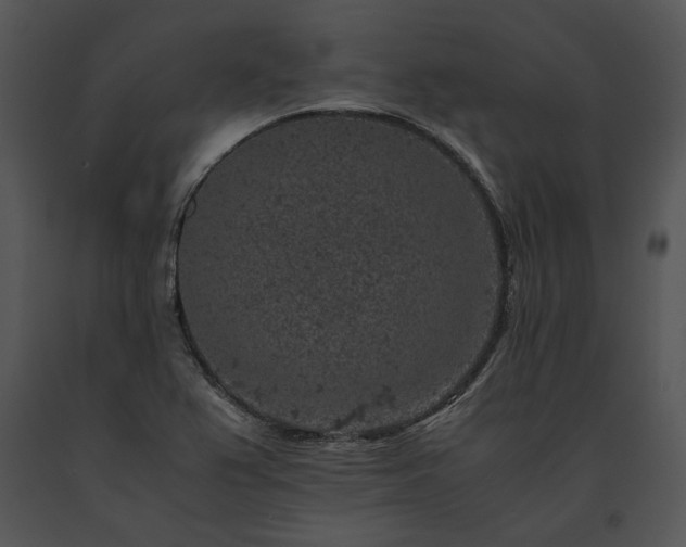 X0000091651367200708301410