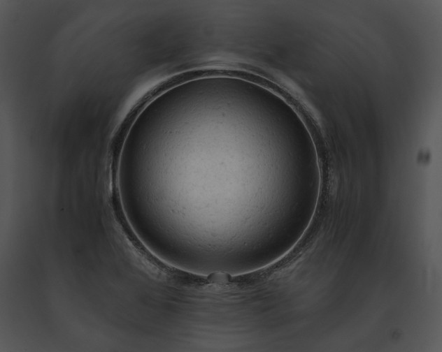 X0000091651368200708301410