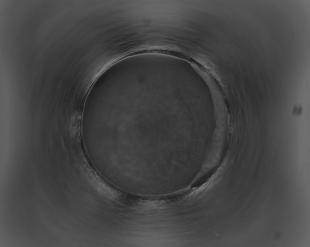 X0000091651369200708301410