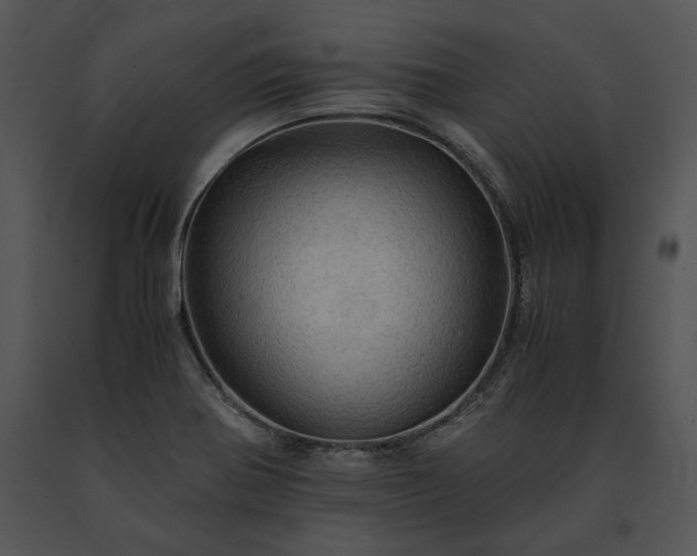 X0000091651370200708301410