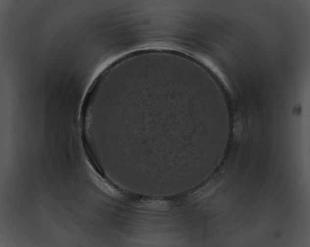 X0000091651372200708301410