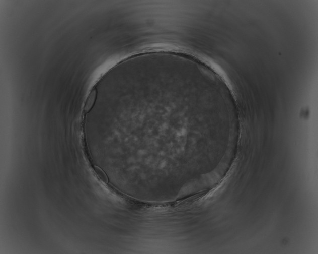 X0000091651373200708301410