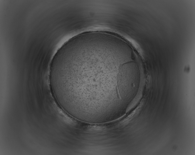 X0000091651374200708301410