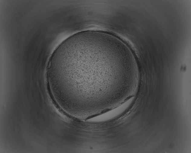 X0000091651375200708301410