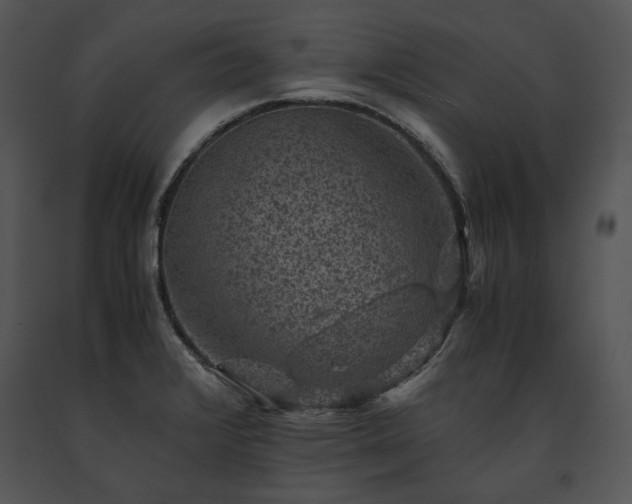 X0000091651376200708301410