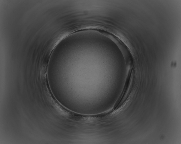 X0000091651377200708301410