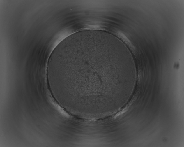 X0000091651378200708301410
