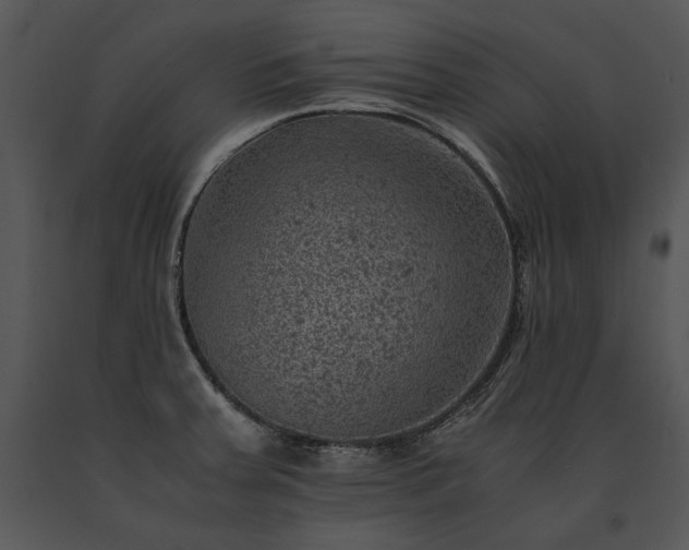 X0000091651379200708301410
