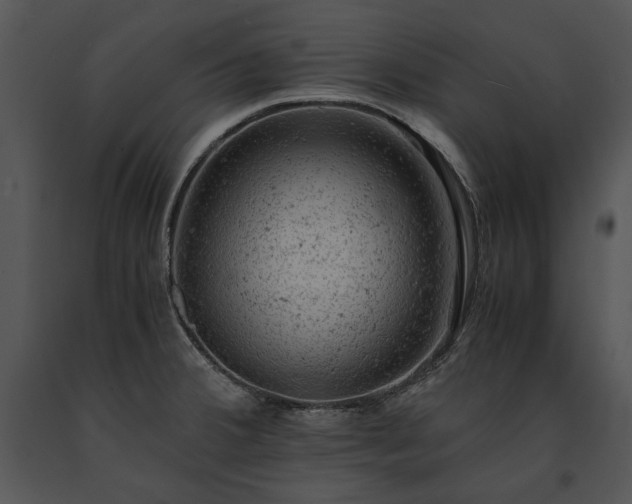 X0000091651380200708301410