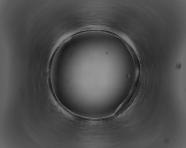 X0000091651381200708301410