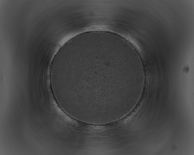 X0000091651382200708301410