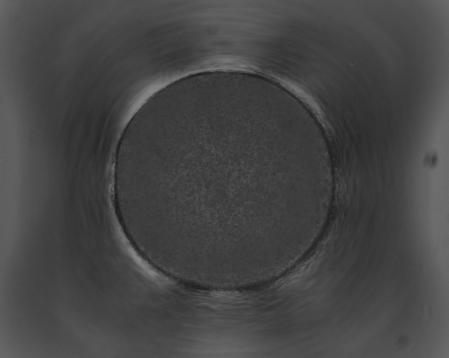 X0000091651383200708301410