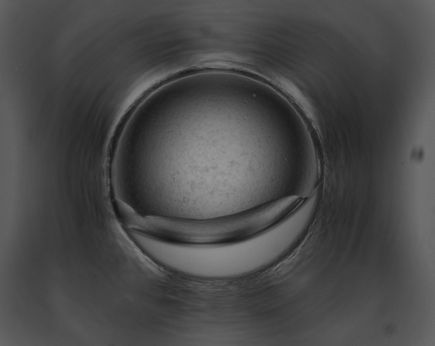 X0000091651384200708301410