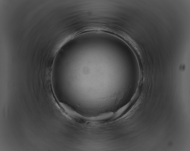 X0000091651385200708301410
