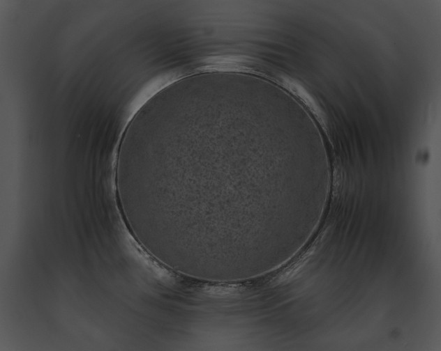 X0000091651386200708301410