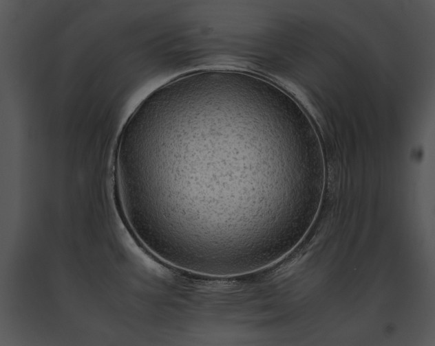 X0000091651387200708301410