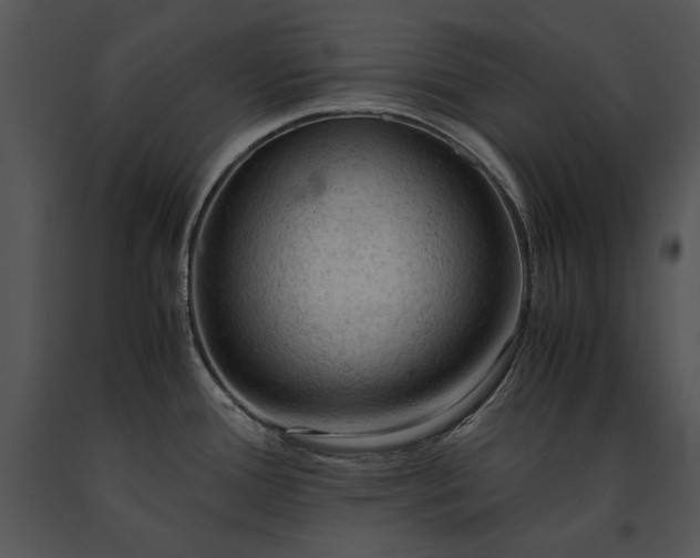 X0000091651388200708301410