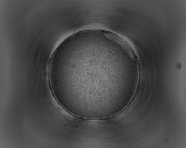 X0000091651390200708301410