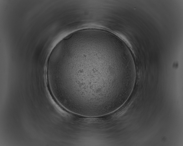 X0000091651391200708301410