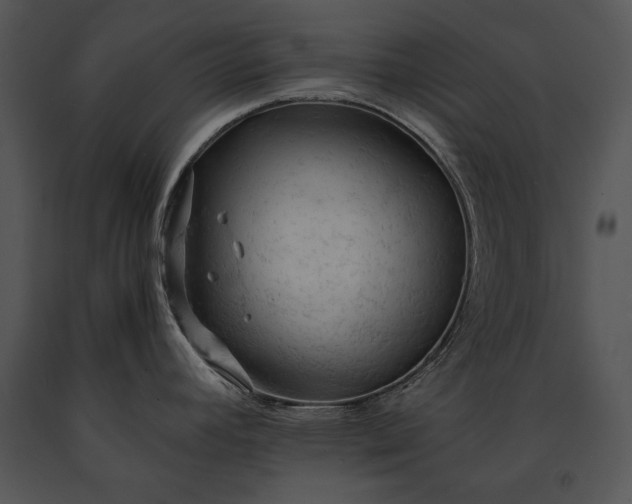 X0000091651392200708301410