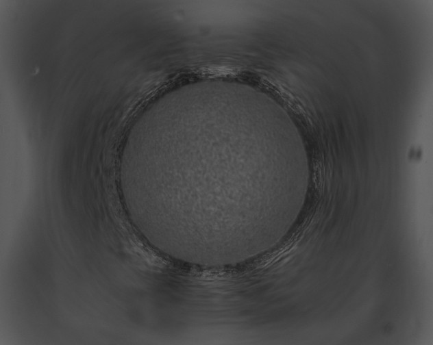 X0000091651393200708301409