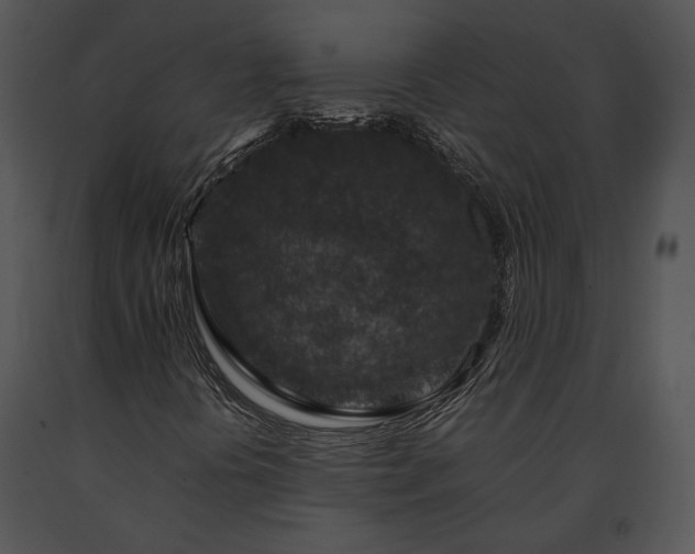 X0000091651394200708301409