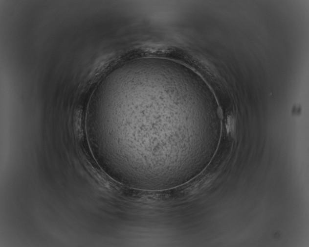 X0000091651396200708301409