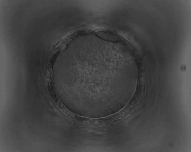 X0000091651397200708301409