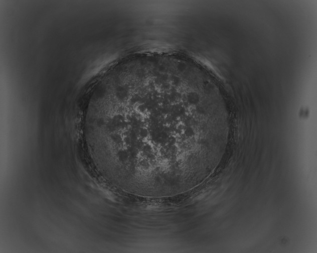 X0000091651399200708301410