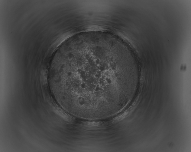 X0000091651401200708301410