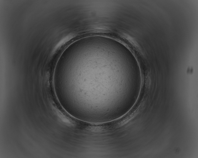 X0000091651402200708301410